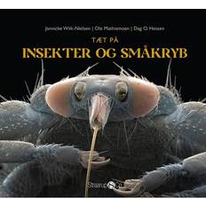 Tæt På Insekter Og Småkryb (Indbundet)