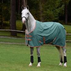 Equestrian Weatherbeeta WeatherBeeta ComfiTec Tyro Standard Neck