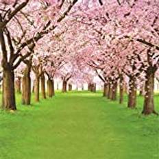 Photo Backgrounds Aofoto 8x8ft Spring Cherry Flower Photography Backdrop Floral Blossom Tree Background Park Natural Scenery Green Grass Pathway Photo Studio Props Adult Girl Woman Lady Mother Portrait Vinyl Wallpaper