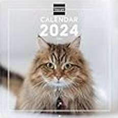 Finocam Finocam Kalender 2024 Internationella väggbilder januari 2024 December 2024