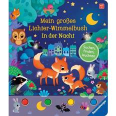Mein großes Lichter-Wimmelbuch: In der Nacht (Board Book, 2023)