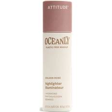 Attitude Highlighter Stick - Golden Rose