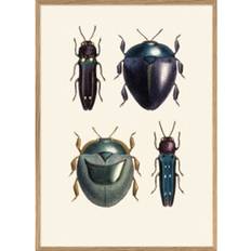The Dybdahl Co Special bugs #5410