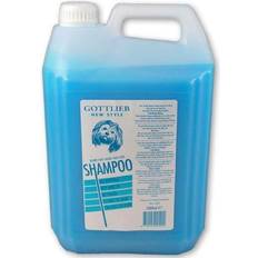 I.P.T.T.S. Gottlieb Blue Shampoo 5l