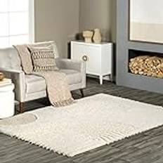 Carpets & Rugs Nuloom Indoor Beige