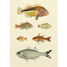 The Dybdahl Co The Dybdahl Co Fishes Affisch Fishes Poster