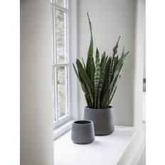 Cement Pots Garden Trading Set of 2 Stratton Tapered Pots