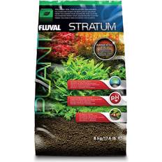 Plant and Shrimp Stratum