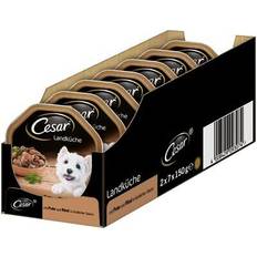 Cesar Hundfoder Husdjur Cesar Adult Hundenassfutter Landragout zartem Truthahn, Rind 14