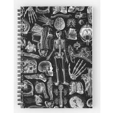 Office Supplies Famgem Spiral Human Anatomy Black Print A5 120