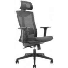 Ergo Office Chairs Ergo nomic With Wheels Lumbar Office Chair