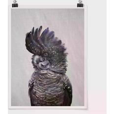 Cockatoo Kanye Black Poster 30x40cm