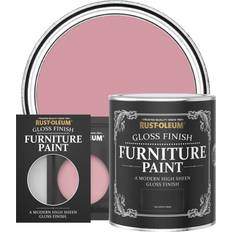 Rust-Oleum Gloss Paint - DUSKY PINK Base