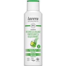 Hårprodukter Lavera Freshness & Balance Shampoo 250ml