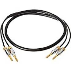 Amazon Basics Gold-beschichteten Bananensteckern CL2