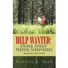 Help Wanted Gabriel a Soan 9781490819679 (2014)