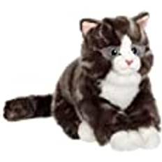 Cat Grå