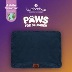 Paws for Medium Pet Bed Spare