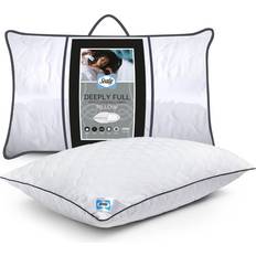 Sealy Full Pillows 2 Pack