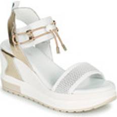 NeroGiardini Sandals E219045D-707