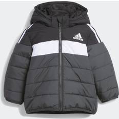 Bébé Vestes adidas Padded Jacket Black 3-6M,6-9M,9-12M,12-18M,18-24M,2-3Y,3-4Y