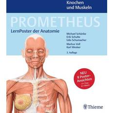 Sport-Thieme PROMETHEUS der Anatomie Poster