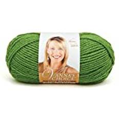 Lion Brand Lion Brand Yarn Company Garn, Kelly Green, 156