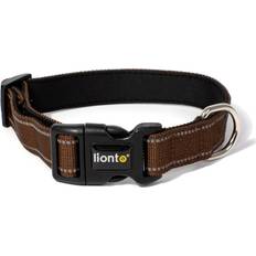 Lionto lionto Hundehalsband gepolstert Halsband Nylon reflektierend wasserfest