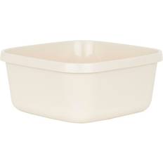 Wham Everyday Bowl