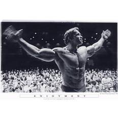 Celebrities Posters Close Up Arnold Schwarzenegger Enjoyment Multicolor Poster 91.5x61cm