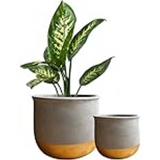 Olly & Rose Gold Dip Ceramic Plant Pot Set 2 Flower