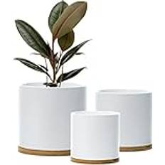 Set 3 Ceramic Plant Pots with Bamboo Coasters