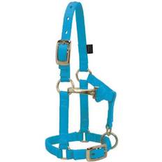 Blue Bits Weaver Hurricane Blue Nylon Miniature Horse Adjustable Halter