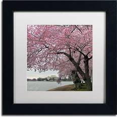 Trademark Fine Art Tidal Basin Blossoms Black Framed Art 11x11"