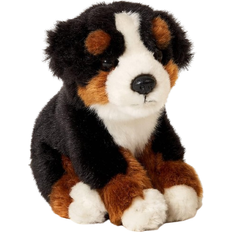 Bernese Mountain Dog