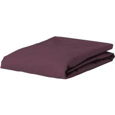 Essenza Kuvertlagener Lagner Essenza The Perfect Organic Jersey Lagen Rød (220x200cm)