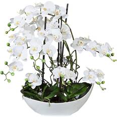 Keramik Künstliche Pflanzen orchideen-arrangement in weißer keramikschale Künstliche Pflanzen