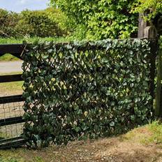 True Products Maple Leaf Ivy on Willow Trellis 1m 2m