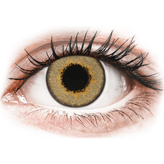 Daily Color Brown Endags icke-Dioptrisk