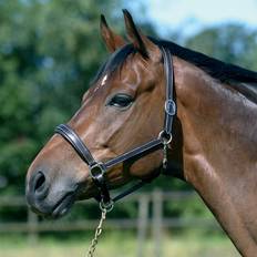 Lær Grimer Hansbo Sport Leather Halter Scandi Brown Cob