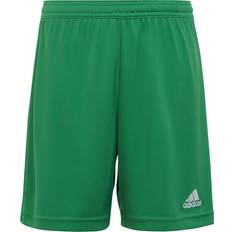 Verde Pantalones Adidas Entrada 22 Shorts Bermudas - Team Green Unisex