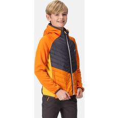 Orange Outerwear Regatta 'Kielder Hybrid VII' Padded Insulated Jacket Orange Years