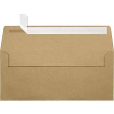 Postage & Packaging Supplies LUX #10 Square Flap Envelopes (4 1/8 x 9 1/2) 50/Pack Grocery Bag (4860-GB-50)