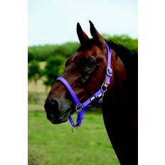 Purple Horse Halters Roma Breakaway Headcollar Halter II Purple Cob