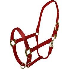 Gold Halters & Lead Ropes Gatsby Gold Safety Breakaway Halter Horse Red