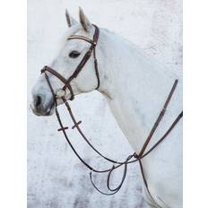 Jacson Martingale pour cheval Cincinatti Marron