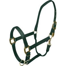 Gatsby Gold Adjustable Halter with Snap - Hunter Green