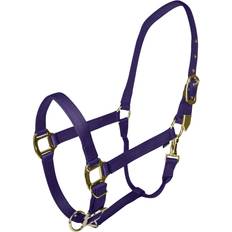 Gold Horse Halters Gatsby Gold Safety Breakaway Halter Horse Purple