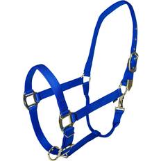 Gatsby Gold Adjustable Halter with Snap - Blue