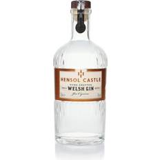 Beer & Spirits Hensol Castle Hensol Castle Welsh Dry Gin 41% 70cl
